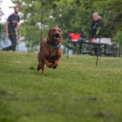 img_4212_20230516_1878733853