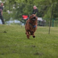 img_4213_20230516_1835962956