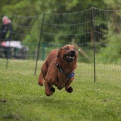 img_4214_20230516_1323372687