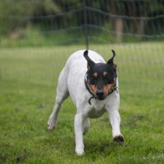 img_4218_20230516_1786246137