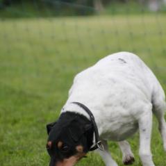 img_4219_20230516_1670008232