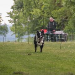 img_4227_20230516_2042561935