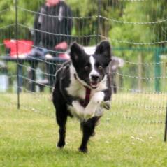 img_4228_20230516_1813990997