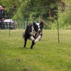 img_4229_20230516_1325698701