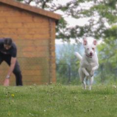 img_4245_20230516_1137757436