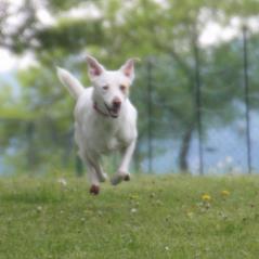 img_4247_20230516_2029837447