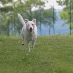 img_4249_20230516_1371927478