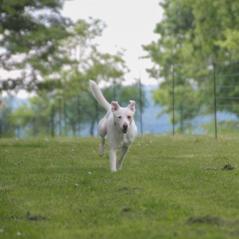 img_4250_20230516_1161761462