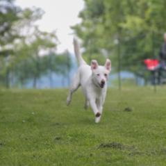 img_4251_20230516_1571730473