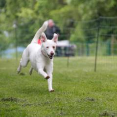 img_4252_20230516_1390271250