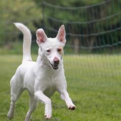 img_4254_20230516_1431873437