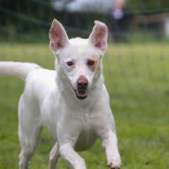 img_4255_20230516_1720887620