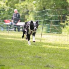 img_4271_20230516_1374428379