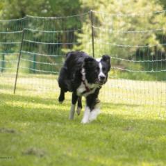 img_4272_20230516_1647721422