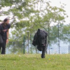 img_4280_20230516_2034790246