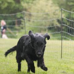 img_4288_20230516_1098897424