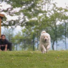 img_4295_20230516_1811317478