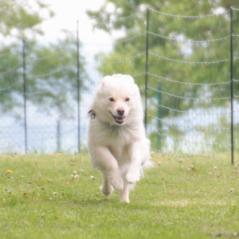 img_4298_20230516_1865743333