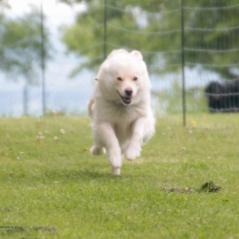 img_4299_20230516_1414038057