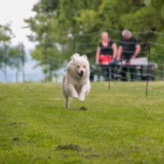 img_4300_20230516_1122585202