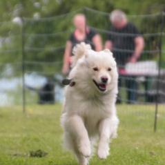 img_4301_20230516_1204503341