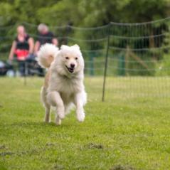 img_4302_20230516_1896288375