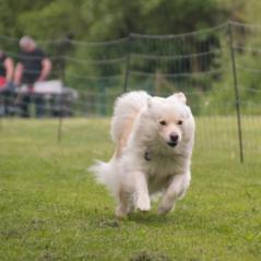 img_4303_20230516_1424030967