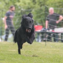 img_4317_20230516_1872625009