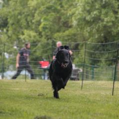 img_4318_20230516_1963358842