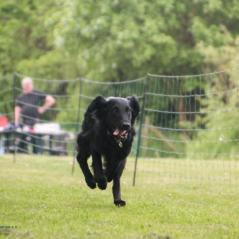 img_4319_20230516_1677473015