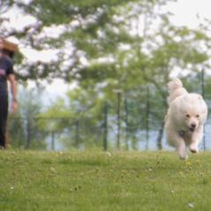 img_4332_20230516_1042364138