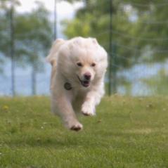 img_4334_20230516_1717653841