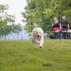 img_4335_20230516_1334864139