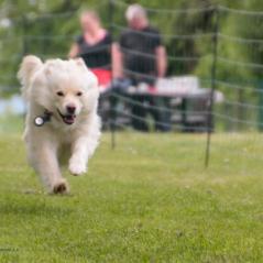 img_4336_20230516_1840454353