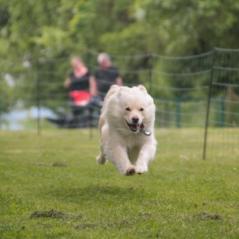img_4337_20230516_1559767615