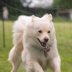 img_4340_20230516_1770986929