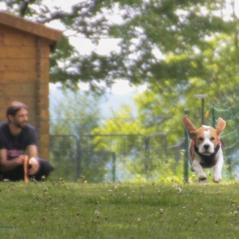 img_4348_20230516_1359315312