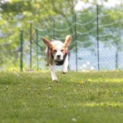 img_4349_20230516_1387270778