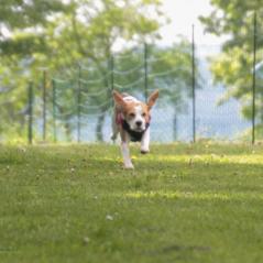 img_4350_20230516_1574957048