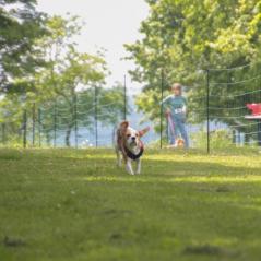 img_4351_20230516_1481724089