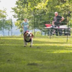 img_4353_20230516_1255679679