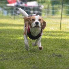 img_4354_20230516_1561670527