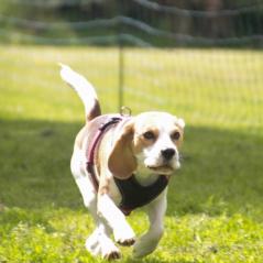 img_4356_20230516_1226206985