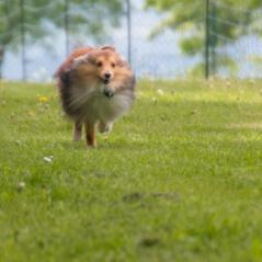 img_4365_20230516_1965638498