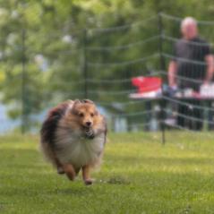 img_4367_20230516_1323714400