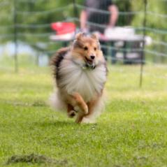 img_4368_20230516_1579434846