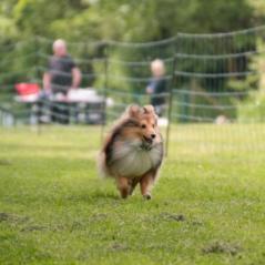 img_4369_20230516_1615655580