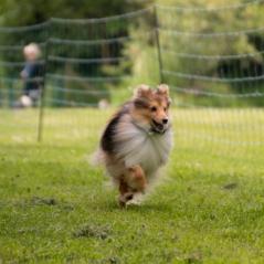 img_4370_20230516_1991156213