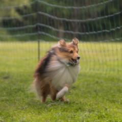 img_4371_20230516_1662632457