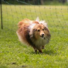 img_4372_20230516_1492400044